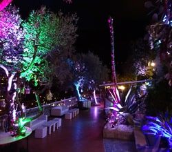 Villa Oliviero - Matrimoni Positano