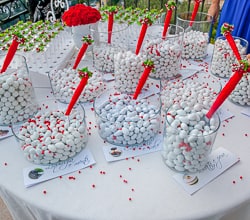 Villa Oliviero - Matrimoni Positano