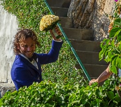 Villa Oliviero - Matrimoni Positano